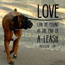 So True Boxer Dogs Boxer Dog Quotes Dog Quotes Funny