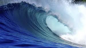 Image result for sea