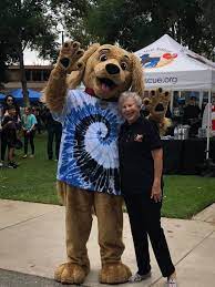 Our mission (and passion) is to help get homeless pets out of the shelters and into loving homes. Irvine Animal Care Center Animal Shelter Services Wags Pet Adoption In Westminster Ca