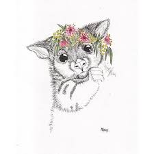 Australia Australian Possum Flowers Flower Drawing Pen Art Folk Art Flowers Art Art Drawings