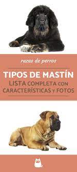 Pin En Razas De Perros