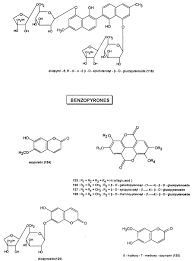 Image result for Diospyros inhacaensis