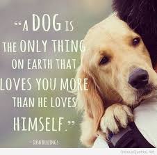 Dog Best Friend Quotes 3 Best Friend Dog Quotes Dog Love I Love Dogs
