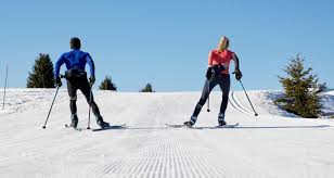 cross country skiing how to choose skate skis