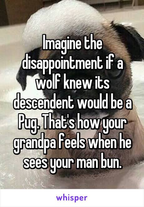 images?q=tbn:ANd9GcTukmkW5oOT1sN9NJSt7bw