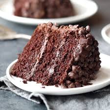Blackout Chocolate Cake Pinch Of Yum Video Recipe Video Desserts Baking Recipes Best Chocolate Cake