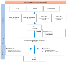 Image result for Lannea virgata