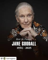 📰 The Chicago Tribune reported