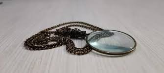 Image result for Monotes magnificus