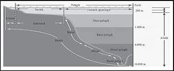 Check spelling or type a new query. Pembagian Zona Laut Dan Macam Macamnya Berpendidikan Com