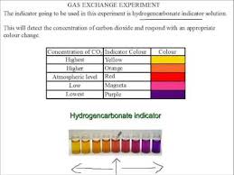 Bicarbonate Indicator Colour Chart Investigating