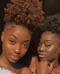 Brown Skin Girl Tribute 50 Brown Skin Girls You Need To Follow With Natural Hairstyles Hair Color For Dark Skin Brown Hair Dye Dyed Natural Hair