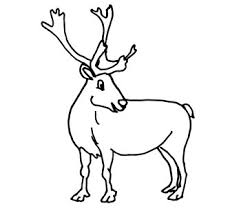 Free caribou coloring pages, caribou coloring page, caribou coloring book pages, caribou pictures. Species At Risk Colouring Pages Plan Your Visit