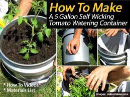 Smart Watering With Self Watering Planters Plenty Of Easy Options Tomato Planter Tomato Garden Self Watering