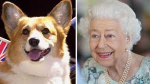 Una corona que la reina Isabel II antes de su muerte cuenta con una perla  mexicana: la historia de la gema