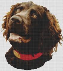 Discover thousands of more patterns to print online instantly at 4.2 x 6.6 stitched on 18 count. White Willow Stitching Boykin Spaniel Cross Stitch Pattern 123stitch