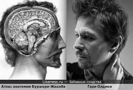 Заставка сериала на Likeness.ru / Лучшие сходства в начале