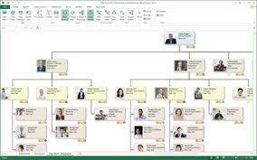 57 Prototypical Microsoft Organizational Chart Software