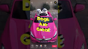 Using an emulator like bluestacks has some minor issues with adding text and gifs also overlays on your video. Hit The Woah We Re Partnering With Giphy To Bring Gifs To Tiktok Tiktok Newsroom