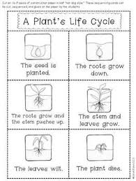 Primarily Plants A Science Math Literacy Unit For K And 1 Kindergarten Science Plant Life Cycle Worksheet Plant Science