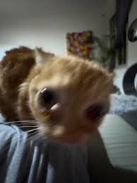 popis obrázku