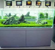 Maybe you would like to learn more about one of these? 4 Model Meja Aquarium Unik Ini Membuat Ruang Tamu Makin Menarik Come Works