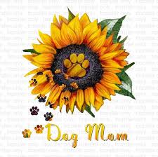 Free Free 262 Sunflower Paw Print Svg SVG PNG EPS DXF File