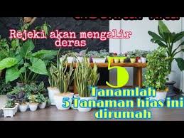 Pin Di Ide Berkebun