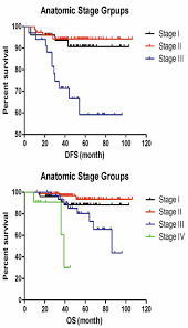 The Prognostic Value Of The 8th Edition Of The American