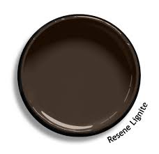 Resene Lignite Is A Heavy Cocoa Brown From The Resene Roof Colours Collection Try A Resene Testpot Or View A Physic Roof Colors House Colors Color Collection