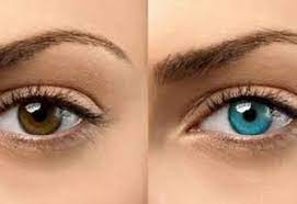 Eye color is one of the most distinguishing human characteristics. How To Change Your Eye Color Naturally With Honey Surgery Permanently Drops Online Eye Color Change Lighten Eye Color Change Your Eye Color
