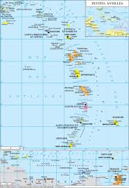 La politique forestière nationale et les engagements européens de la france définissent une gestion durable et on trouve dans la baie de chirongui un faciès forestier à la fois méconnu et très menacé : Https Www Assemblee Nationale Fr Dyn Opendata Rinfanr5l15b3528 Html