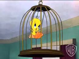 Bird In A Gilded Cage Quote Tweety Bird Song Tweety Looney Tunes Looney