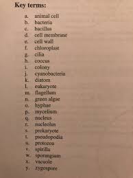Nov 13, 2015 · most cells, both animal and plant, range in size between 1 and 100 micrometers and are thus visible only with the aid of a microscope. Key Terms A Animal Cell B Bacteria C Bacillus D Chegg Com