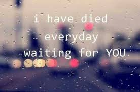 I Have Died Everyday Waiting For You Christina Perri Lyrics Song Quotes Music Lyrics