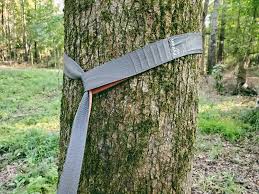 Features 1,000 lbs combined weight capacity, reinforced triple stitching, and polyester. 5 Best Hammock Tree Straps In 2021 99boulders