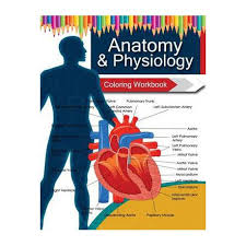 Anatomy and physiology coloring workbook is an excellent tool for anyone who is learning basic human. Anatomy Physiology Coloring Workbook Books Buy Online In South Africa Takealot Com