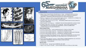 Image result for Paratheria