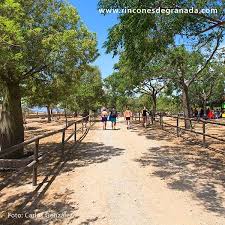 Area Recreativa Ermita Del Carmen Beznar Granada Rincones De Granada