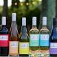 Inside the World of Wine: A Guided Tasting Series - Level 1