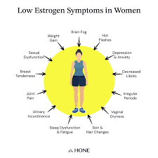 Image result for Estrogen