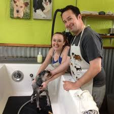 Free shipping · free returns · 35% off first autoship Blissful Bark Dog Wash 22 Photos 35 Reviews Pet Groomers 2701 Cross Timbers Rd Flower Mound Tx Phone Number Services Yelp