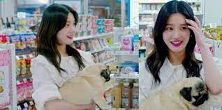 Sub backstreet rookie episode 14 february 5. Hancinema S News Lee Yoo Bi And Lee Jun Young Make Special Appearances In Backstreet Rookie Hancinema