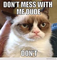 Don T Mess With Me Dude Don T Funny Memes