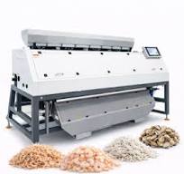 Dried Shrimp Color Sorter - Efficient Seafood Processing