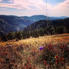 Pin Auf Der Herbst Im Hochschwarzwald