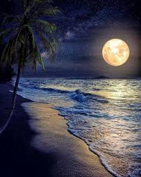 Imágenes con los más sorprendentes paisajes naturales que te hayas podido imaginar. Playa Paisajes Hermosos De Noche Novocom Top