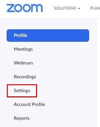While in a meeting, tap the screen to make the controls appear. How To Add A Co Host In Zoom Technipages