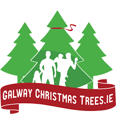 For error message privacy policy. Galway Christmas Trees Xmas Trees Galway