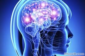 Resultado de imagen de nervios